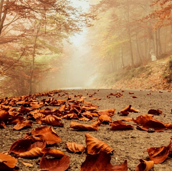 Meet your Posher, Heather - Picture 1 of 1